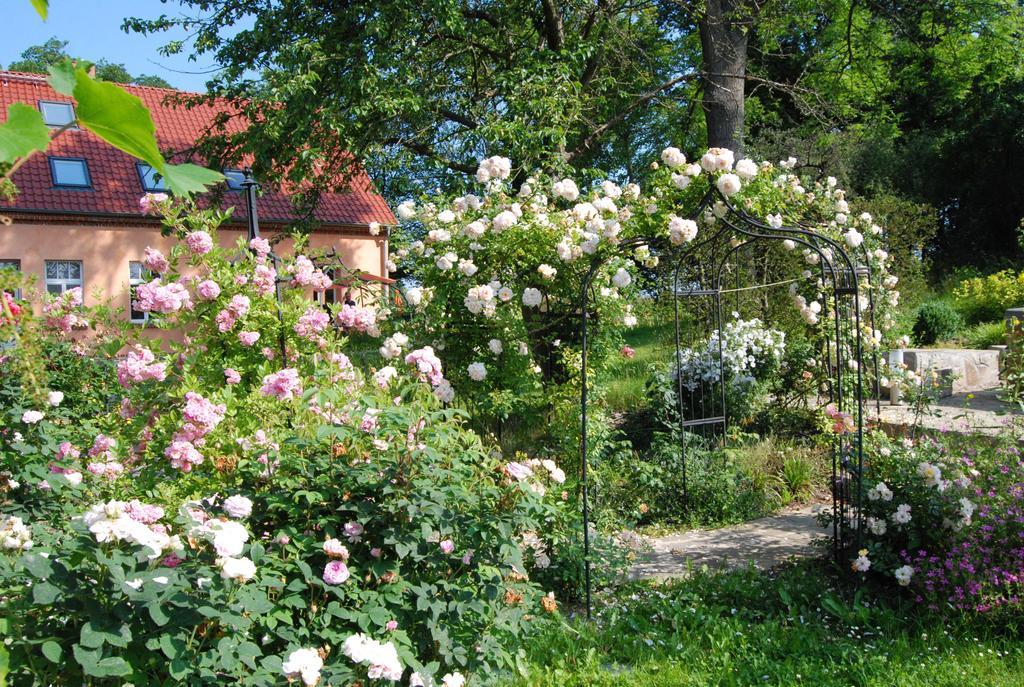 Feriendomizil Alter Garten Temmen-Ringenwalde Екстер'єр фото