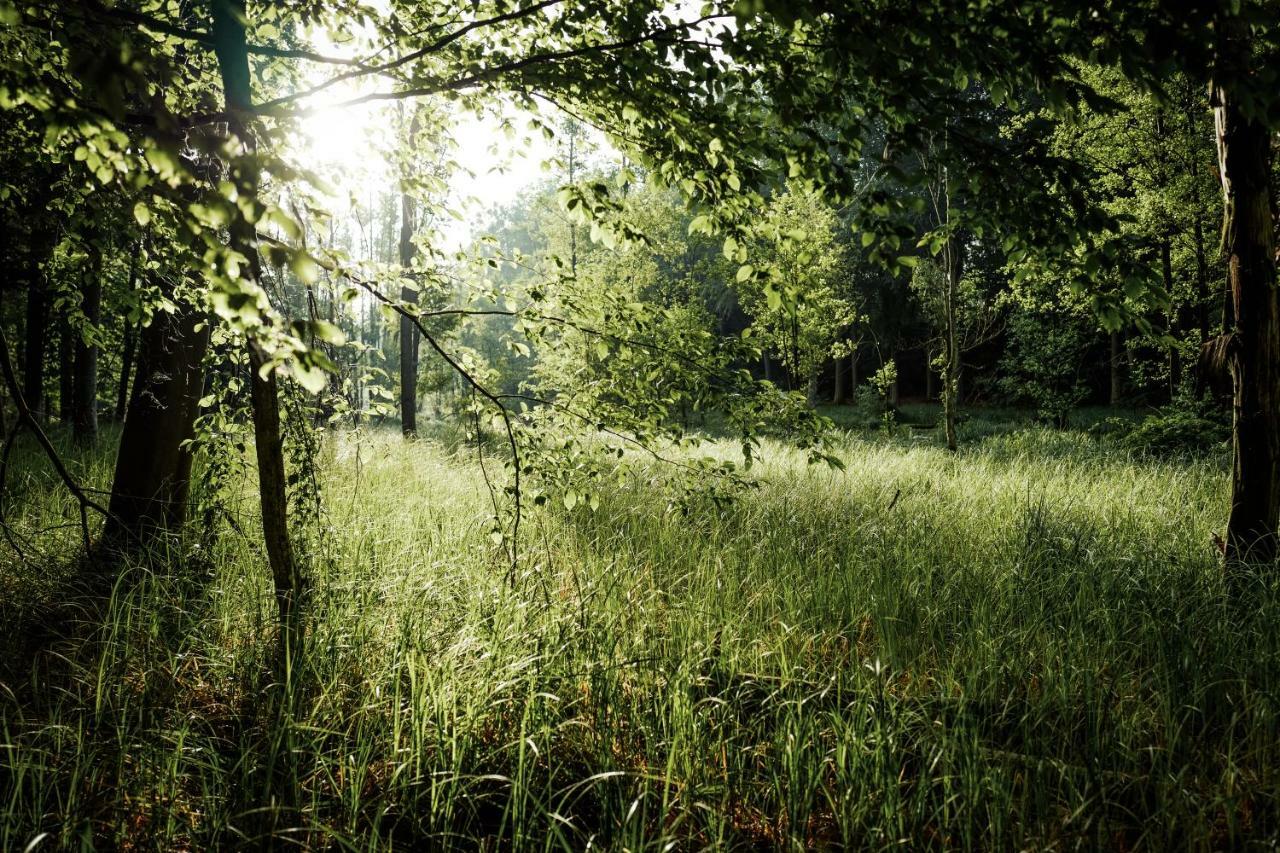 Feriendomizil Alter Garten Temmen-Ringenwalde Екстер'єр фото